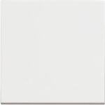 RW4005M2P Бутон 1P (NO) 10 A - 250 V, 2М, Бял Bticino Classia